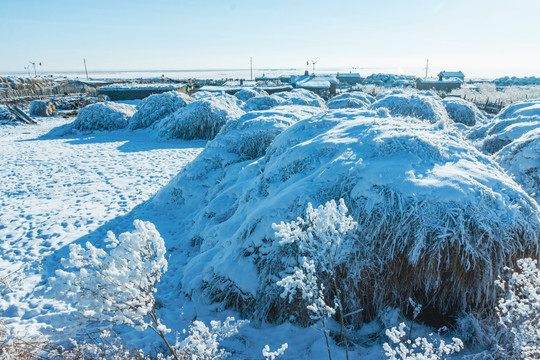 冬季乡村草垛积雪