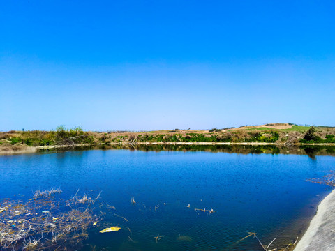 湿地公园昆明池