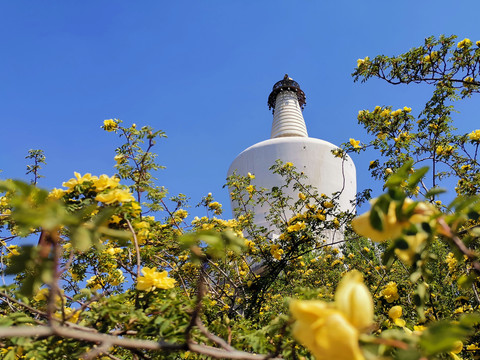 北海白塔