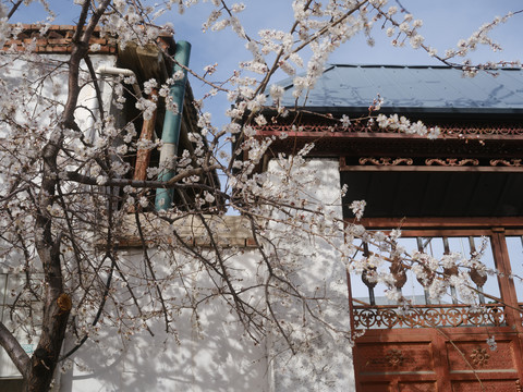 维吾尔族民宅
