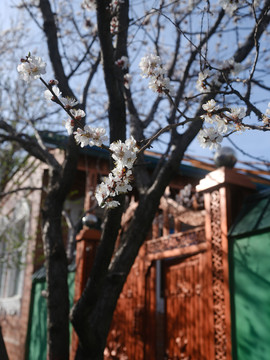 伊宁民居