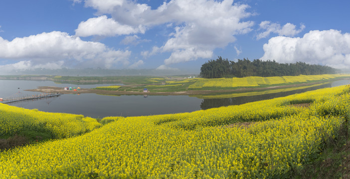 蓝天油菜花河流田园风光