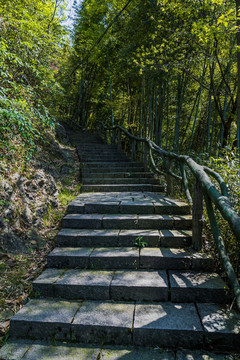 浙江省绍兴市上虞区凤鸣山景区