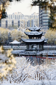 北京城市风光陶然亭公园