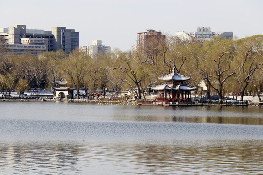 北京城市风光陶然亭公园