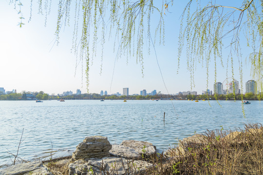 天津市水上公园湖面天际线