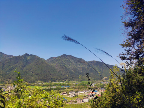 炎陵县水口镇山