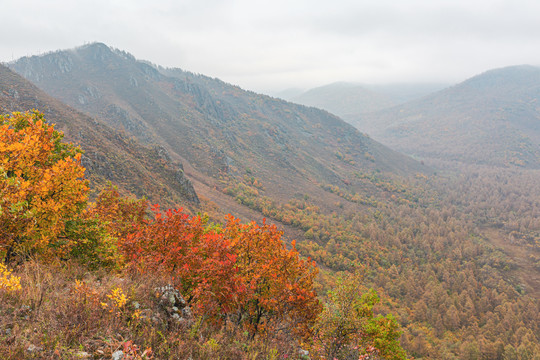 秋季山谷森林