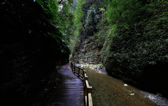 重庆黑山谷