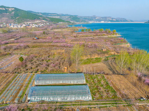 航拍济南卧虎山水库桃花盛开