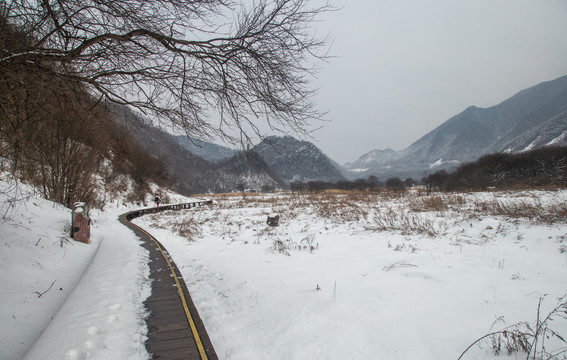 大九湖雪景