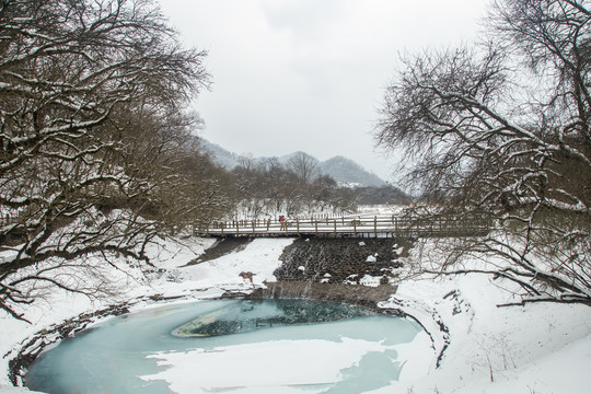 大九湖雪景