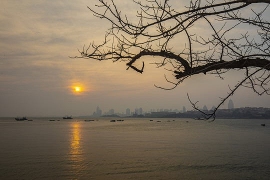 青岛海滨