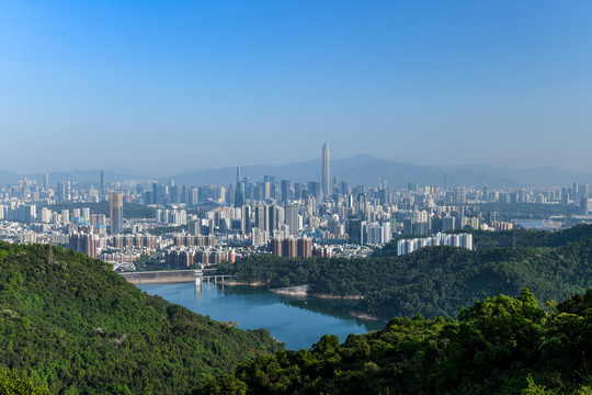 遥望深圳福田中心区