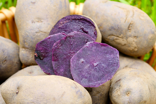 紫土豆