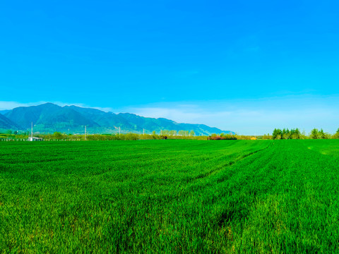 秦岭风光希望的田野