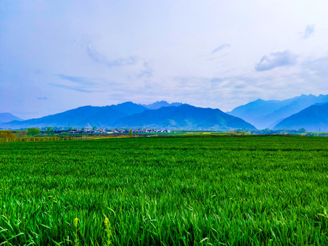 秦岭山下田园风光