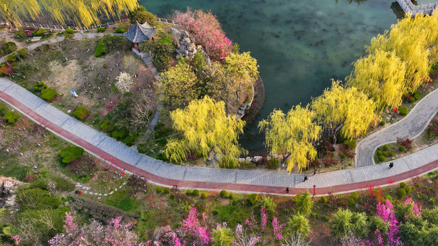 山东青州南阳河景区生态美景