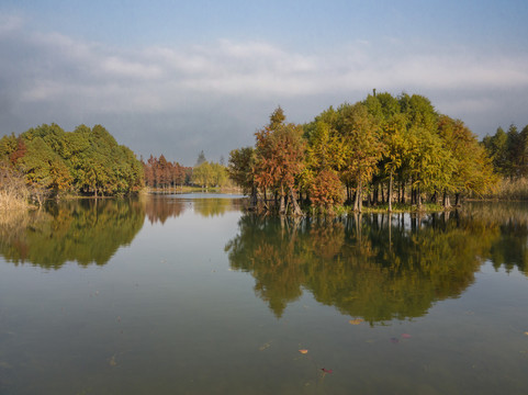 无锡湿地风光