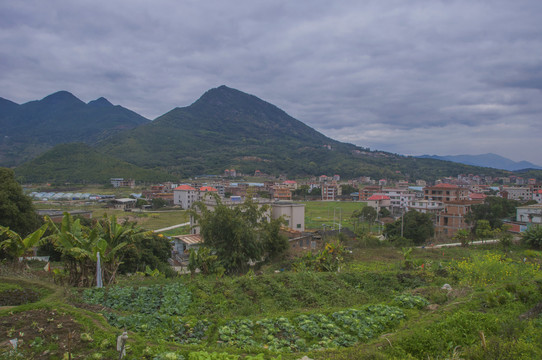 良山村田园风景