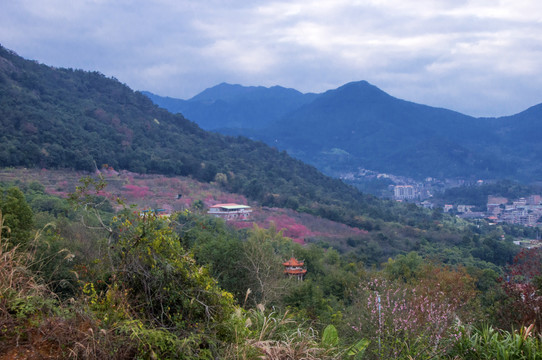 英都良山山景色