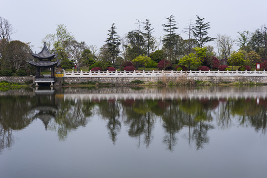 运河航道水岸