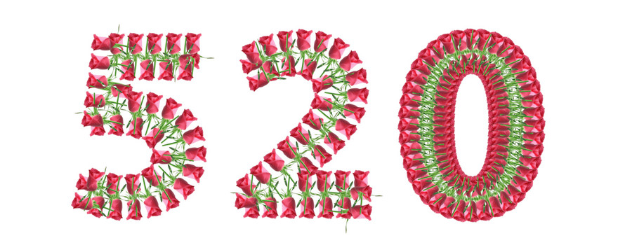 520鲜花文字