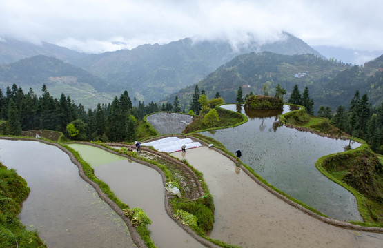 贵州山区的梯田