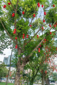 春节的街市