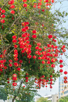 春节的街市