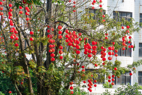 春节年味浓