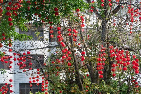 春节年味浓