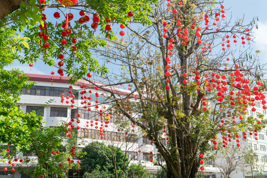 春节年味浓