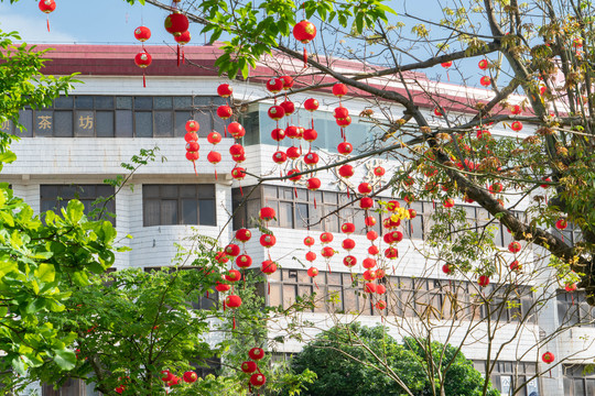 春节年味浓