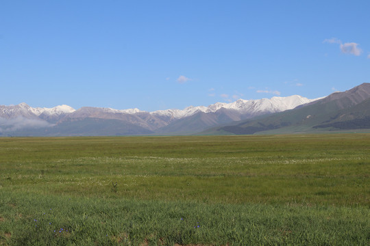 新疆赛里木湖草原游牧区