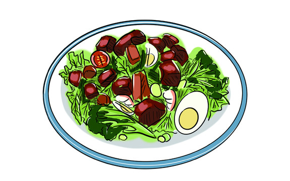 沙拉蔬菜沙拉拼盘美食插画