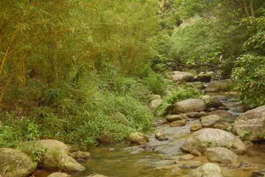 山间溪水和绿竹