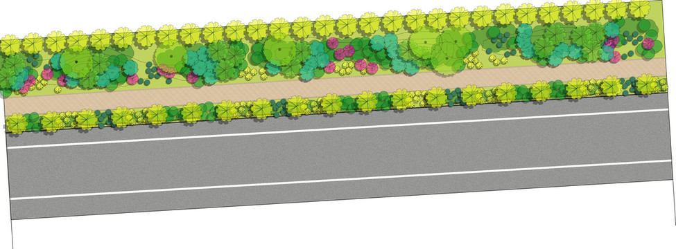 市政道路景观设计彩色平面图