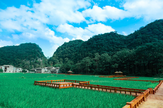 安顺镇宁千年布依高荡景区