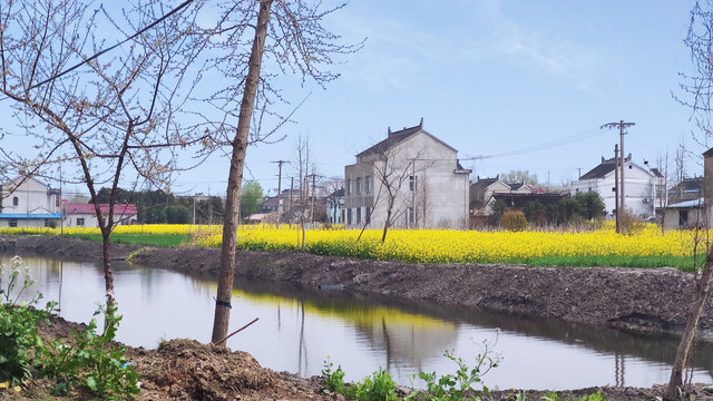 乡村小河