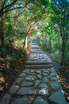 美丽的梅沙尖登山道