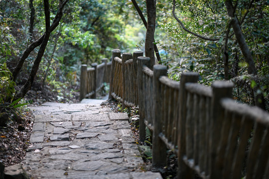 梅沙尖登山道