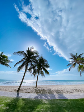 三亚沙滩椰树