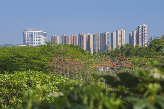 花园城市美丽南安