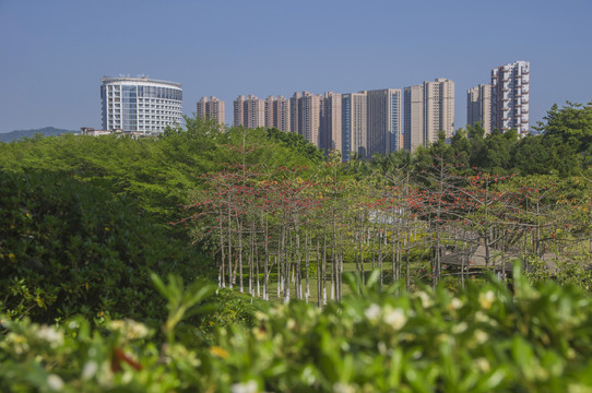 宜居花园城市风景