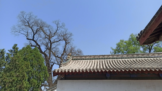 天水南郭寺