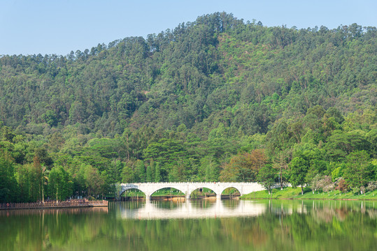 大夫山森林公园七盏灯山塘倒影