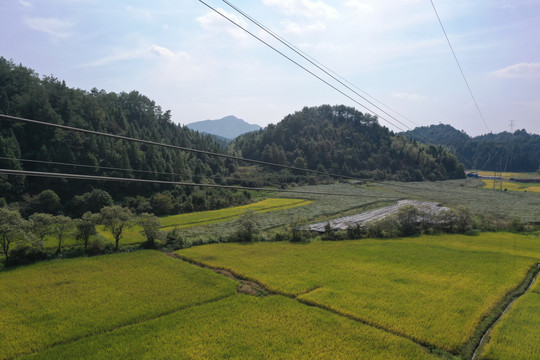 田间小山凸起