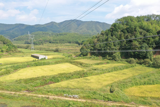 只此青绿更看山