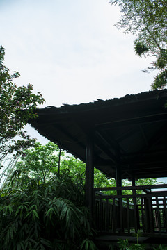 竹林建筑
